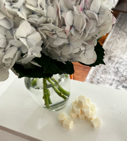 Wax Melts @ Cedar Hills