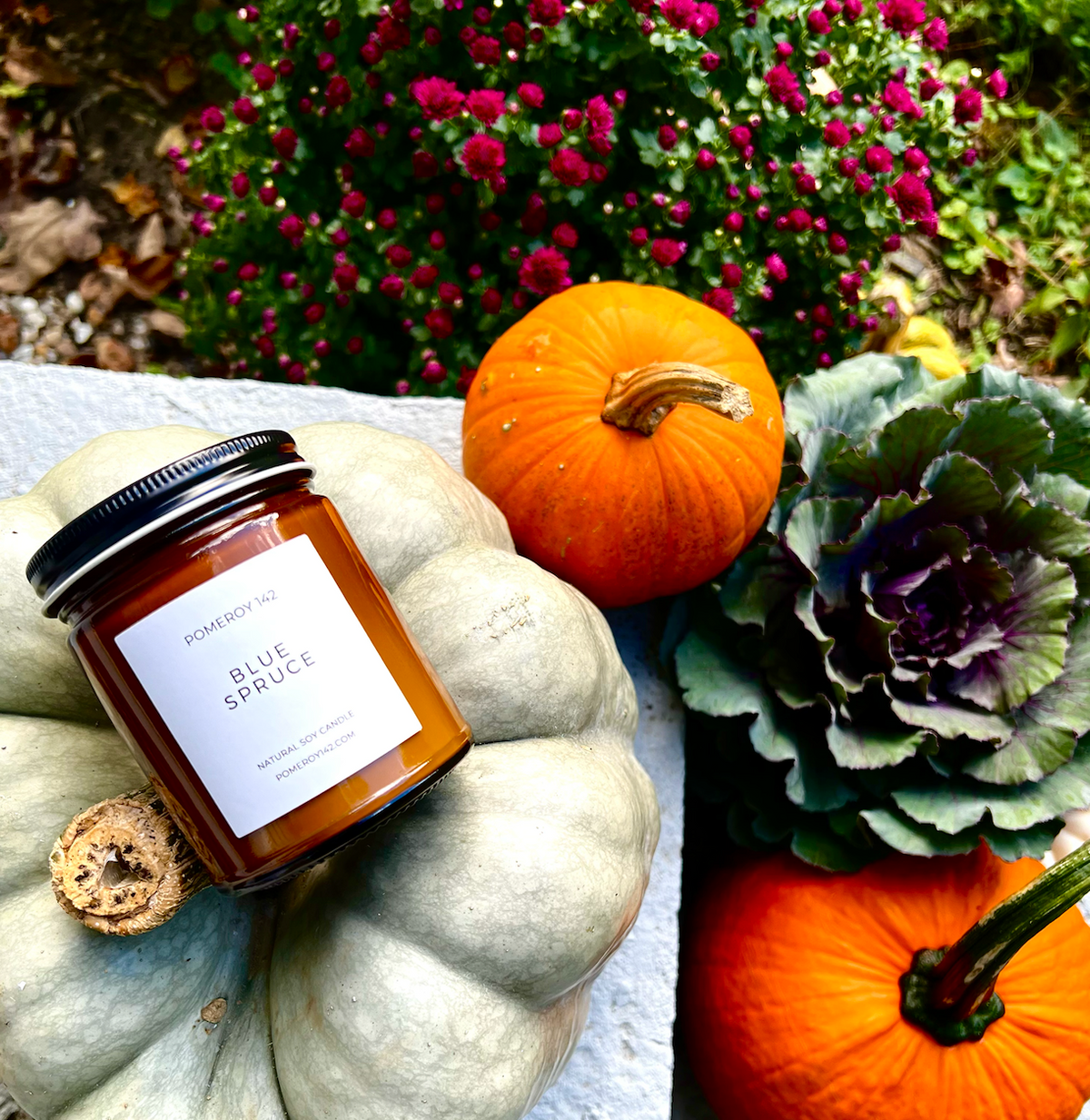 Blue Spruce – Cozy Evergreen Soy Candle | Pomeroy 142